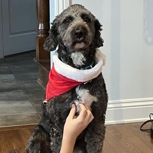 Meet your Posher, Jackie